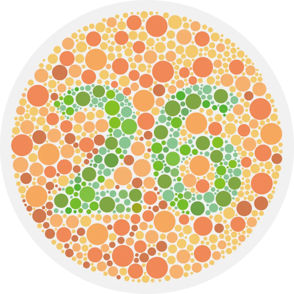 Ishihara Test